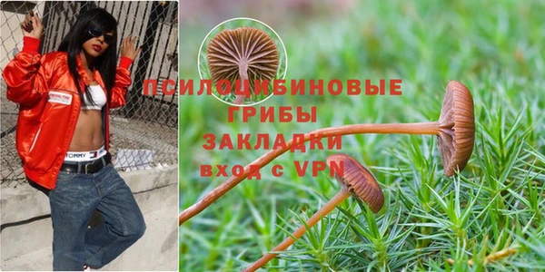 гашик Аркадак