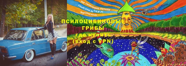 не бодяженный Арсеньев