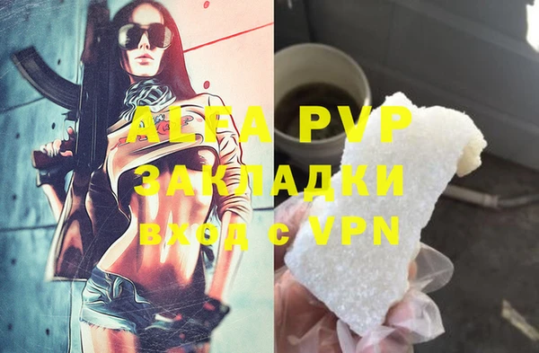 гашик Аркадак
