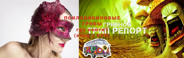 гашик Аркадак
