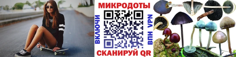 Галлюциногенные грибы Psilocybe Хилок
